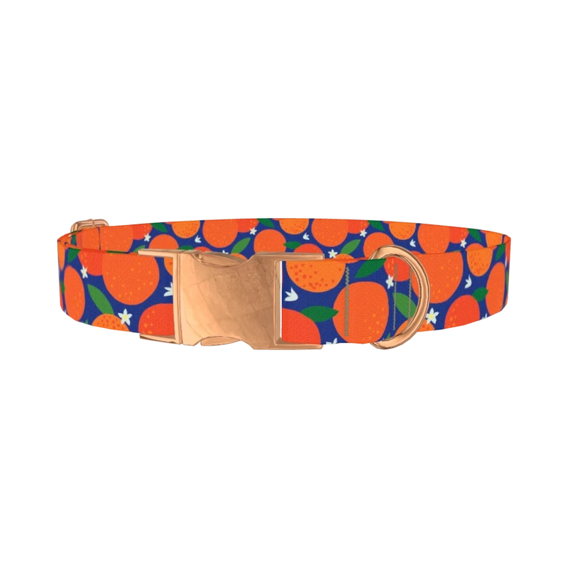 Orange Fruit Dog Collar - metal rose gold