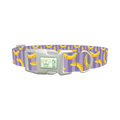 Banana Stripe Dog Collar - plastic silver