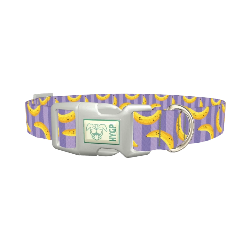 Banana Stripe Dog Collar - plastic silver