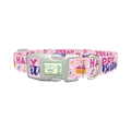 Birthday Cake Celebration Dog Collar - plastic silver
