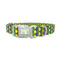Mardi Gras Rhombus Dog Collar - plastic silver