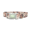 Floral Roses Dog Collar - plastic silver