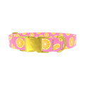 Pink Citrus Burst Dog Collar - metal gold