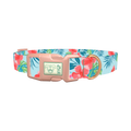 Multi Floral Hibiscus Dog Collar - plastic rose gold