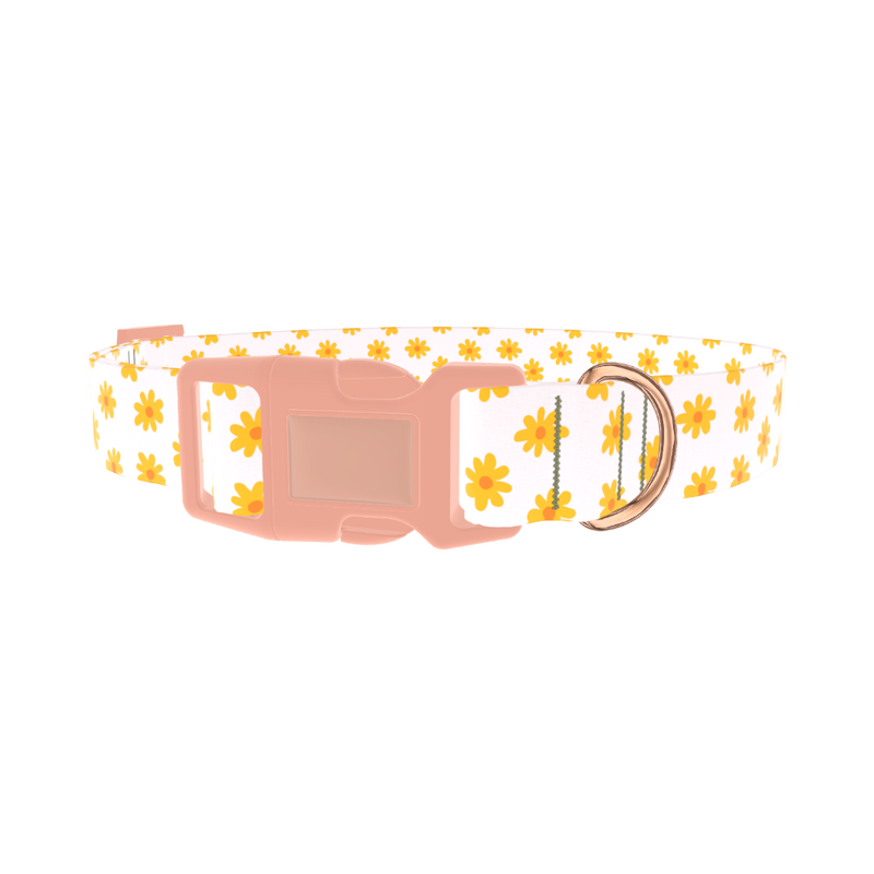 Yellow Daisy Dog Collar - plastic rose gold