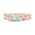Retro Cassette Dog Collar - plastic silver