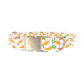 Carrot Garden Dog Collar - metal silver