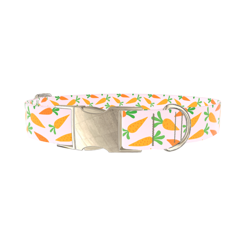 Carrot Garden Dog Collar - metal silver