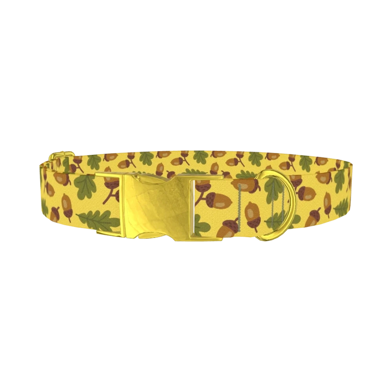 Fall Acorn Dog Collar - metal gold