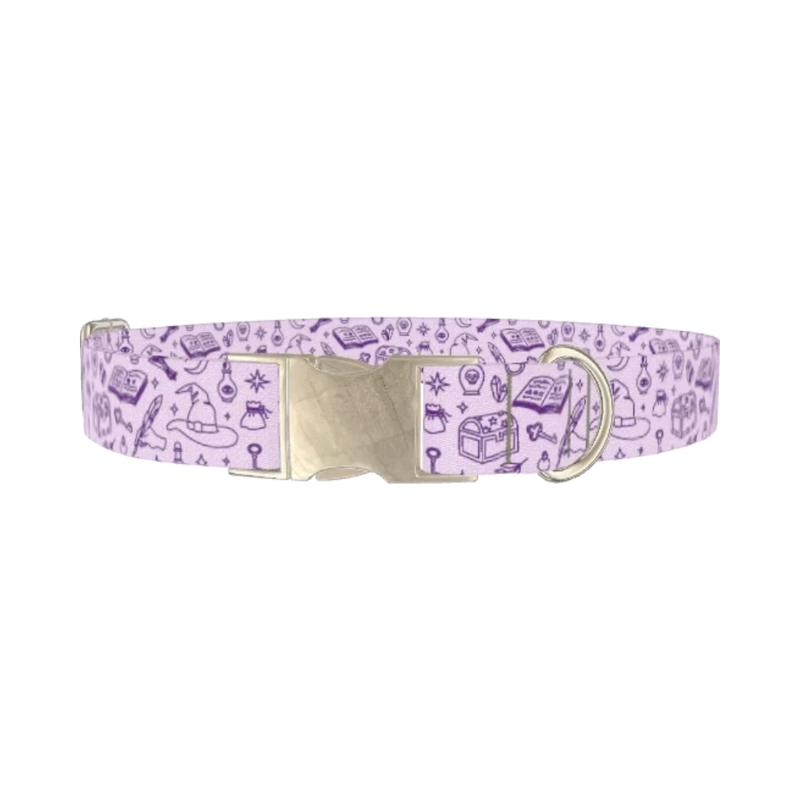 Witchy Magic Elements Dog Collar - metal silver