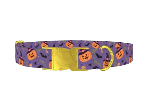 Halloween_WitchyPumpkins