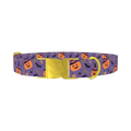 Halloween Witchy Pumpkin Dog Collar - metal gold
