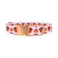 Turkey Pumpkin Pattern Dog Collar - metal rose gold