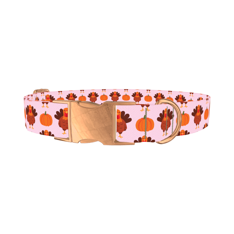 Turkey Pumpkin Pattern Dog Collar - metal rose gold