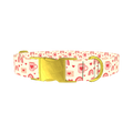 Valentine Mug and Envelope Dog Collar - metal gold