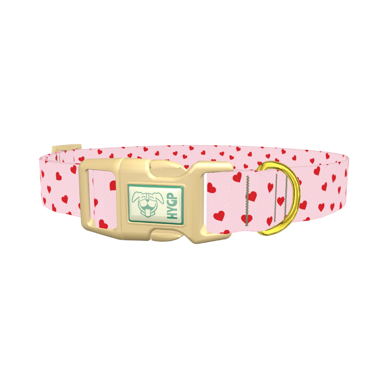 Red Heart Dog Collar - plastic gold