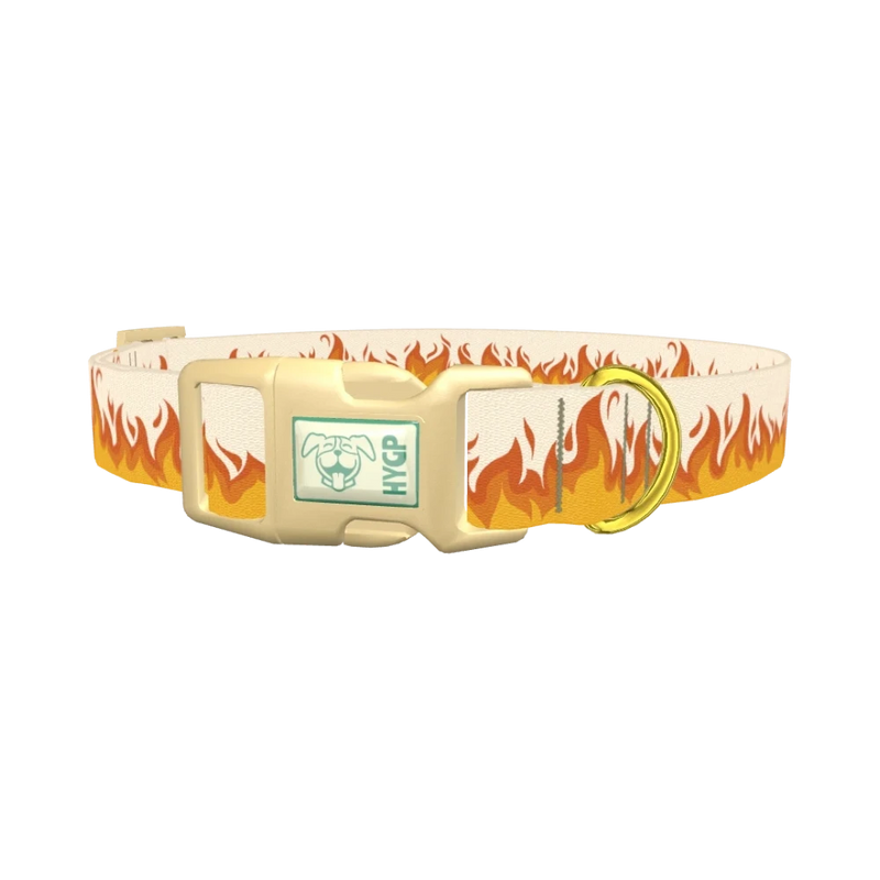 Fire Flame Dog Collar - plastic gold
