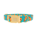 Pizza Slice Dog Collar - plastic gold