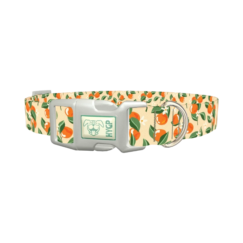 Floral Fruit Dog Collar - plastic silver