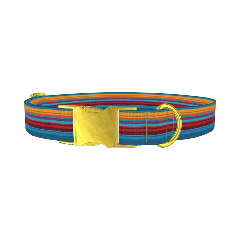 Colorful Geometric Stripe Dog Collar - metal gold