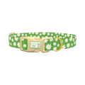 Floral Daisy Dog Collar - plastic gold