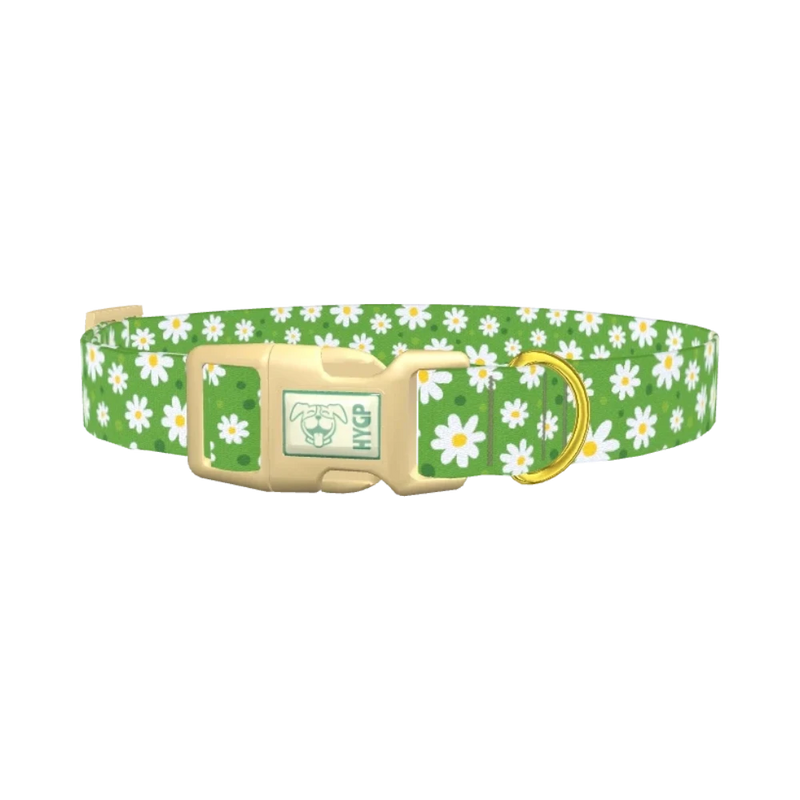 Floral Daisy Dog Collar - plastic gold