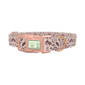 Halloween Witchy Dog Collar - plastic rose gold