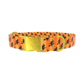 Halloween Witch Stripes Dog Collar - metal rose gold