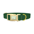 Waikiki Color Dog Collar - plastic gold