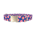 Blue Peppermint Swirl Dog Collar - metal silver