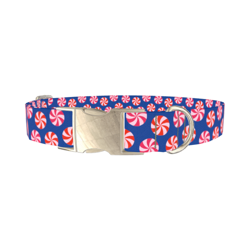 Blue Peppermint Swirl Dog Collar - metal silver