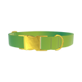 Green Gradient Dog Collar - metal gold