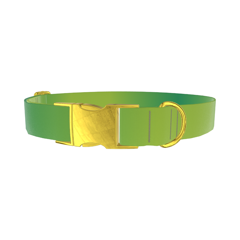 Green Gradient Dog Collar - metal gold
