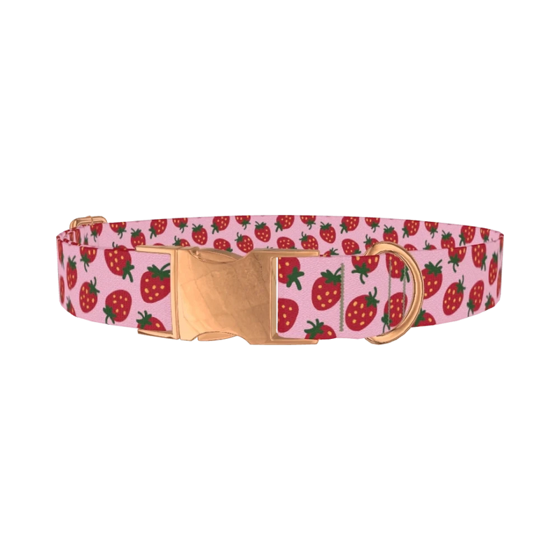 Pink Strawberry Dog Collar - metal rose gold