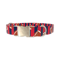 Patriotic Football Dog Collar - metal silver