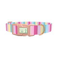 Pastel Stripe Mix Dog Collar - plastic rose gold