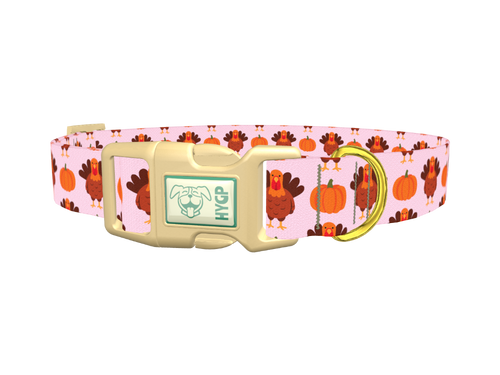 Turkey Pumpkin Pattern Dog Collar
