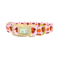 Turkey Pumpkin Pattern Dog Collar - plastic gold