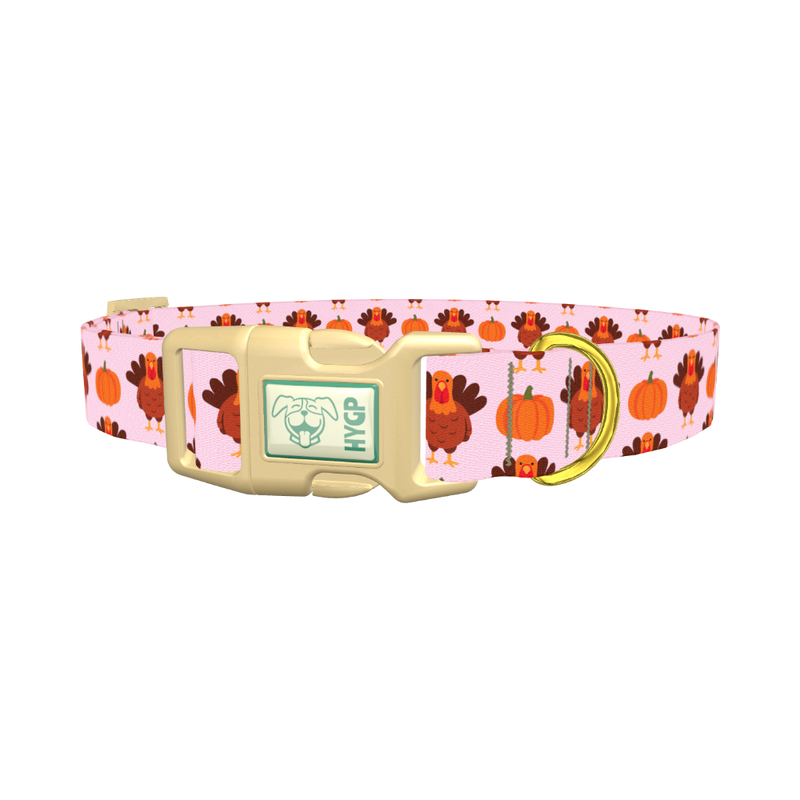 Turkey Pumpkin Pattern Dog Collar - plastic gold