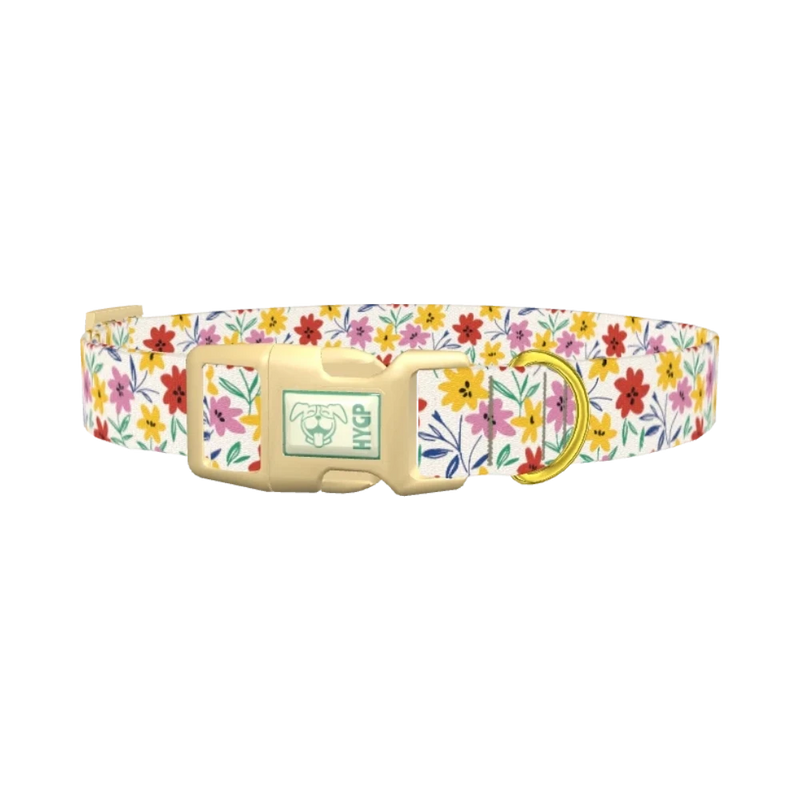 Floral Flower Dog Collar - plastic gold