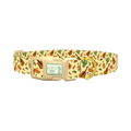 Mexican Fiesta Dog Collar - plastic gold