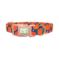 Orange Fruit Dog Collar - plastic rose gold