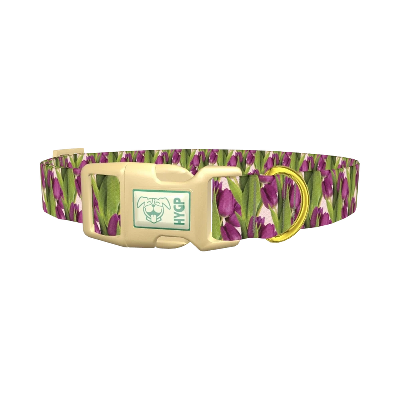 Purple Tulip Pattern Dog Collar - plastic gold