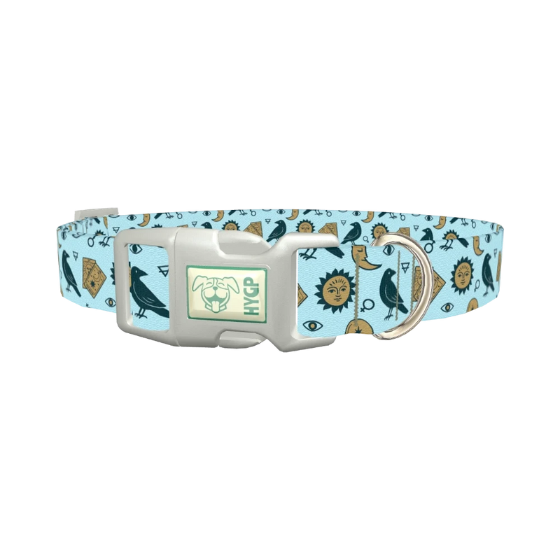 Mystical Crow Dog Collar - plastic silver