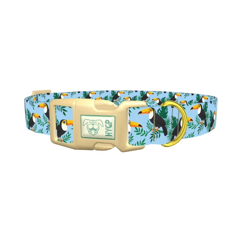 Tropical Toucan Dog Collar - plastic gold