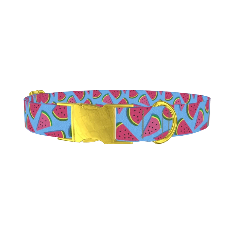 Geometric Watermelon Dog Collar - metal gold