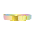 Pastel Gradient Dog Collar - metal gold