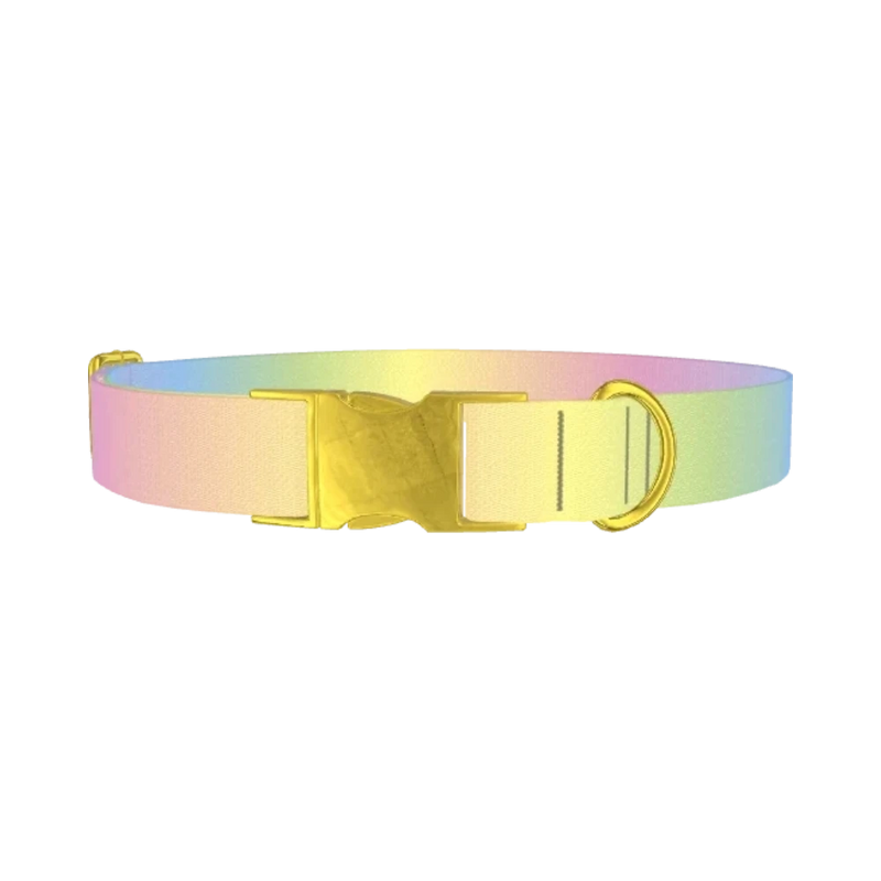 Pastel Gradient Dog Collar - metal gold