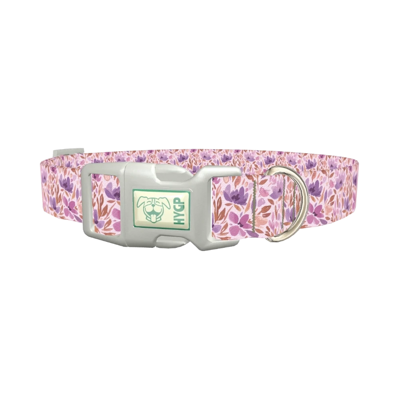 Watercolor Floral Dog Collar - plastic silver