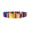 Colorful Mexican Stripe Dog Collar - metal gold